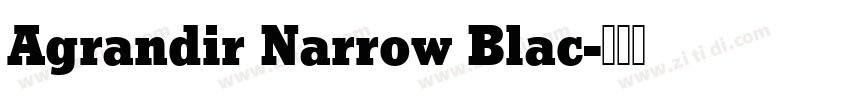 Agrandir Narrow Blac字体转换